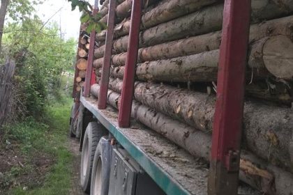 Transport ilegal in Recea judetul Arges