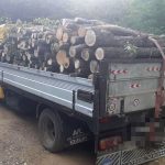 Transporturi suspecte de lemne in Arges Politia s a implicat