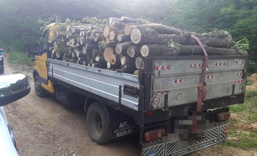 Transporturi suspecte de lemne in Arges Politia s a implicat