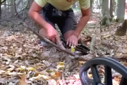 Ce a descoperit un localnic intr o padura din Arges Alerta