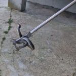 Ce s a intamplat cu un argesan dupa ce a ucis un sarpe in locuinta