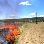 video argesul mistuit de incendii alerta in 5 localitati