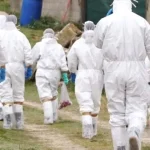 Alertă sanitară majoră declanșată la nivelul DSVSA Argeș