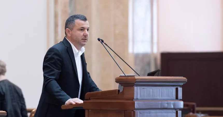 Narcis Mircescu susține că votul pentru 300 de parlamentari nu depinde de inițiator